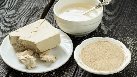 Подкормка дрожжами: эффективное удобрение для рассады, овощей и цветов